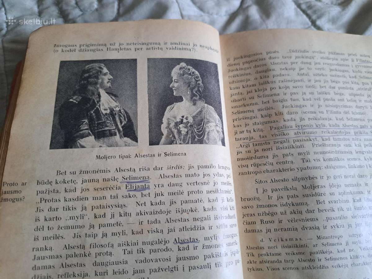 ,Visuotinė literatūros istorija - nuotraukos Nr. 12