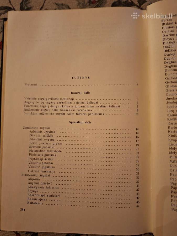 Vaistiniai augalai - nuotraukos Nr. 2