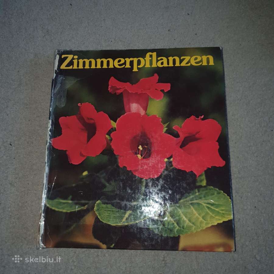 Kambariniai augalai. Zimmerpflanzen