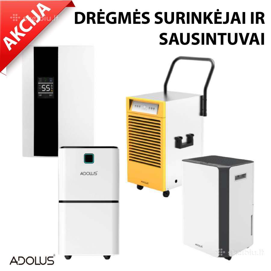 Dregmės surinkėjas
