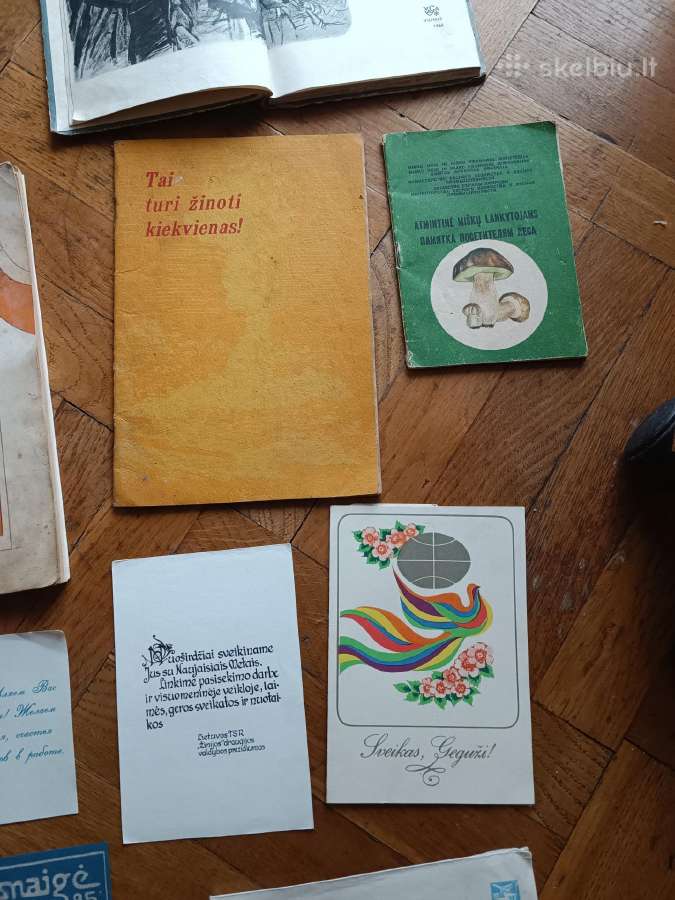 Rusų/tarybinių laikų senienos Tarybiniai atributai - nuotraukos Nr. 4