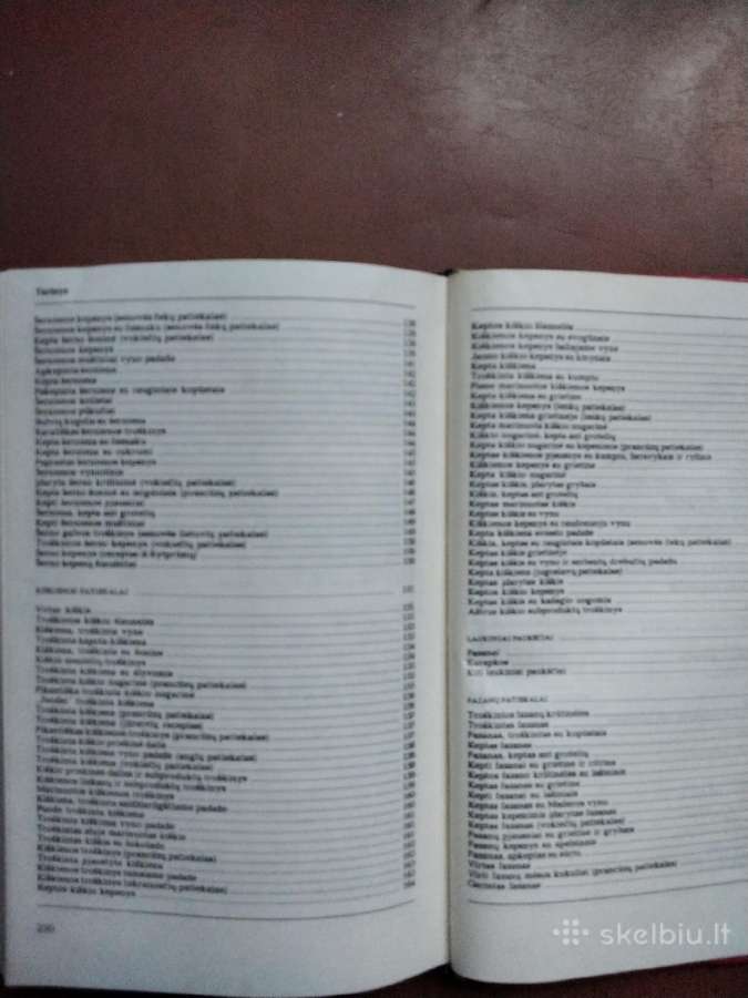 Medžiotojo vaišės, mėsos, žuvų, duonos patiekalai - nuotraukos Nr. 6