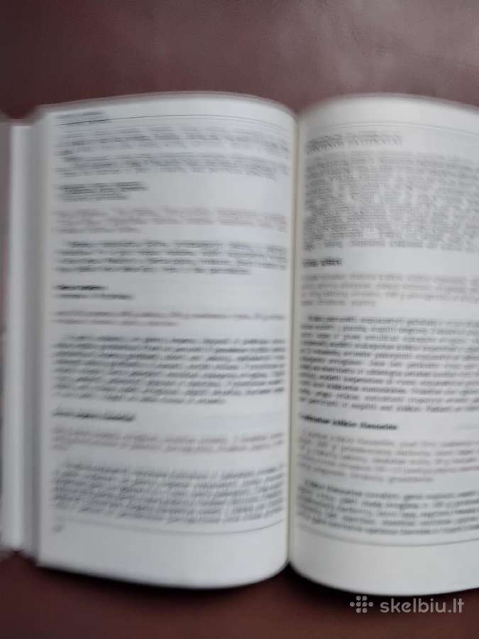 Medžiotojo vaišės, mėsos, žuvų, duonos patiekalai - nuotraukos Nr. 9