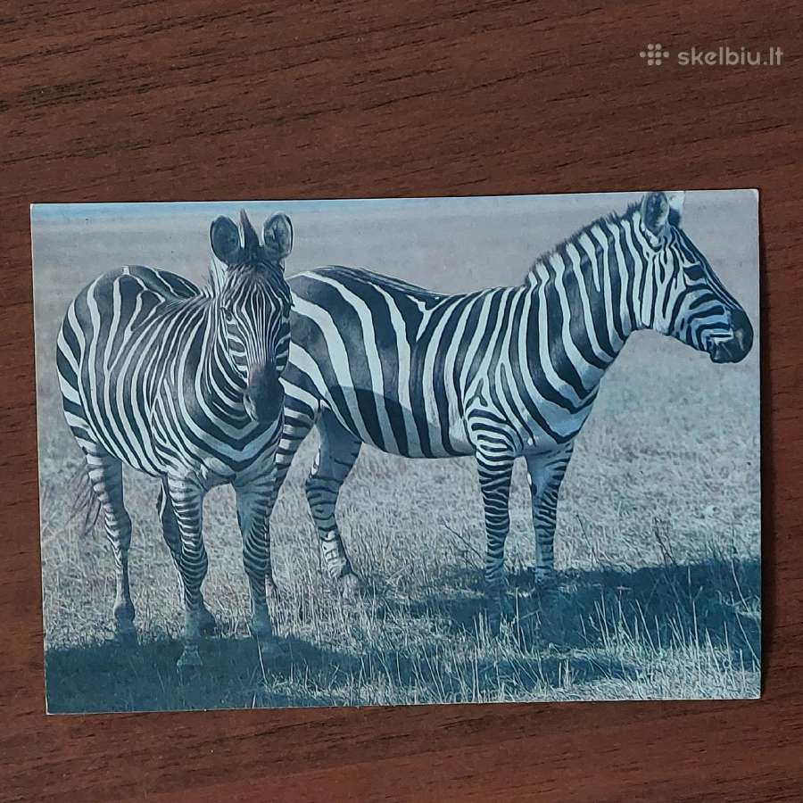 Atvirutės iš serijos - " Gamta ". - nuotraukos Nr. 5