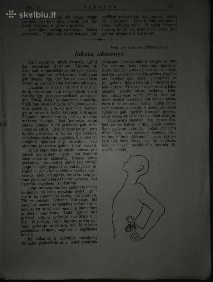 1265. Sargyba antikvarinis-kolekcinis laikraštis - nuotraukos Nr. 8