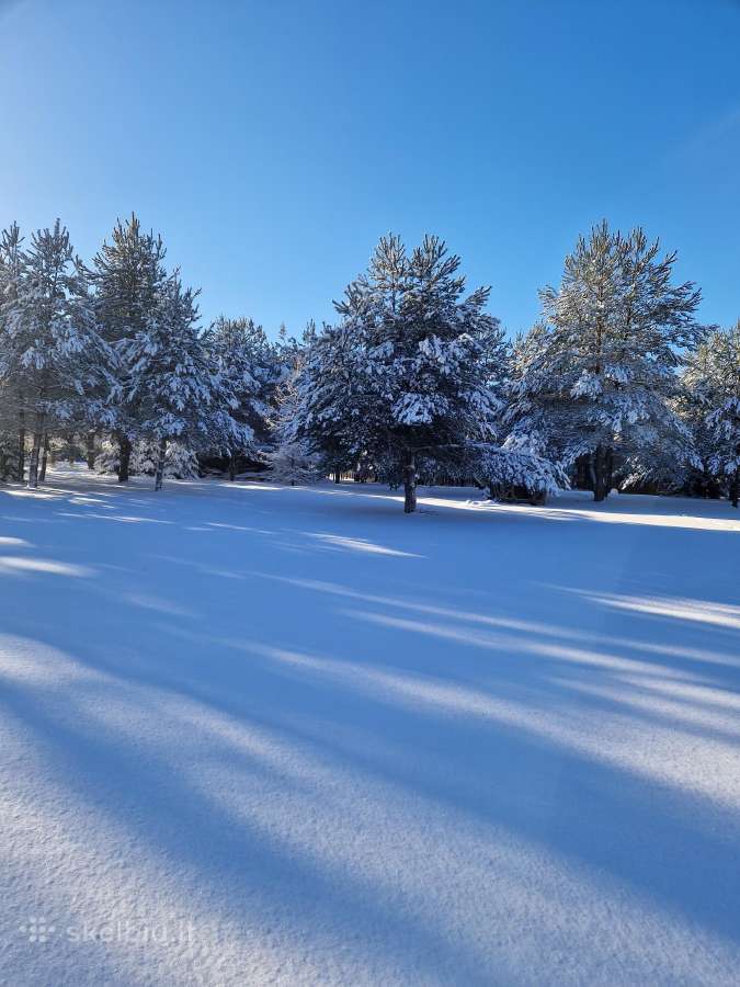 Sodyba - Voverių slėnis - nuotraukos Nr. 22