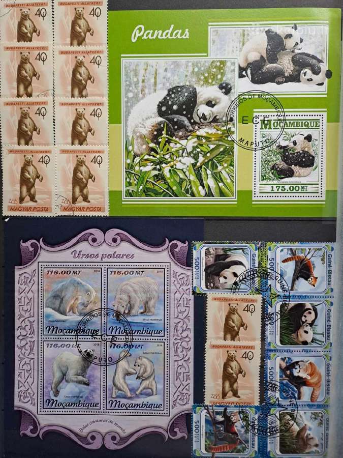 Pandos,meškos,koalos - nuotraukos Nr. 6