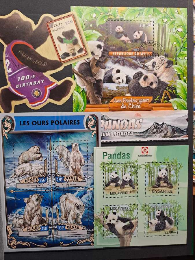 Pandos,meškos,koalos - nuotraukos Nr. 7