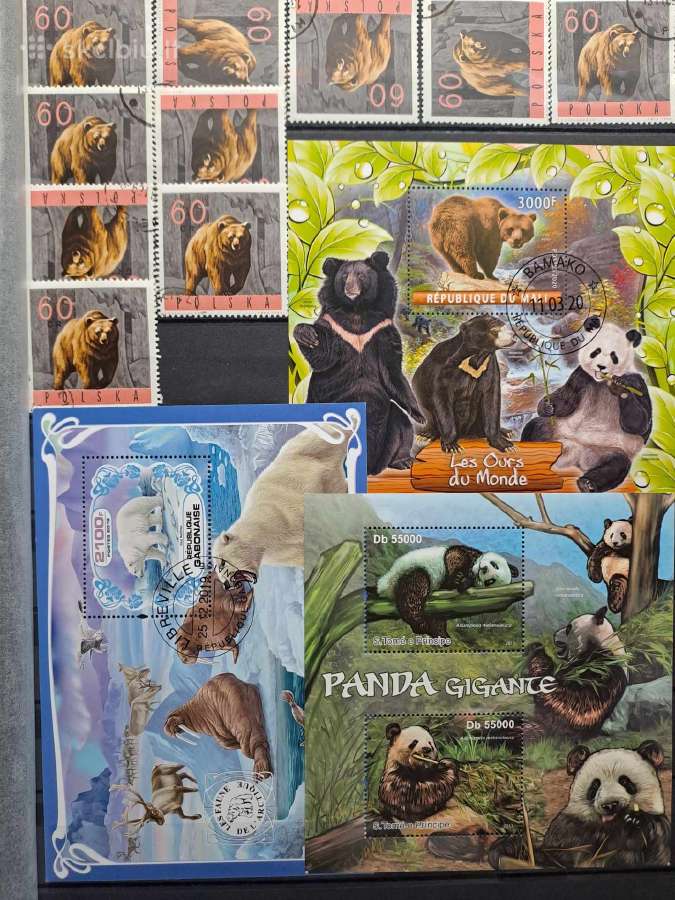 Pandos,meškos,koalos - nuotraukos Nr. 9