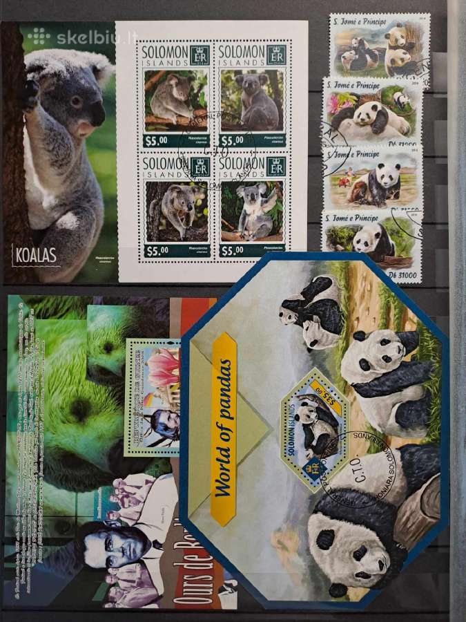 Pandos,meškos,koalos - nuotraukos Nr. 10