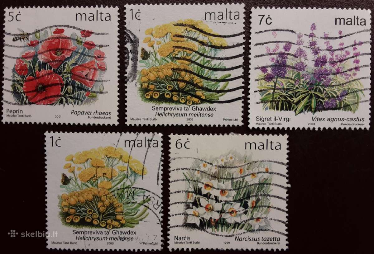 Miksas-foto-0.60 - nuotraukos Nr. 5