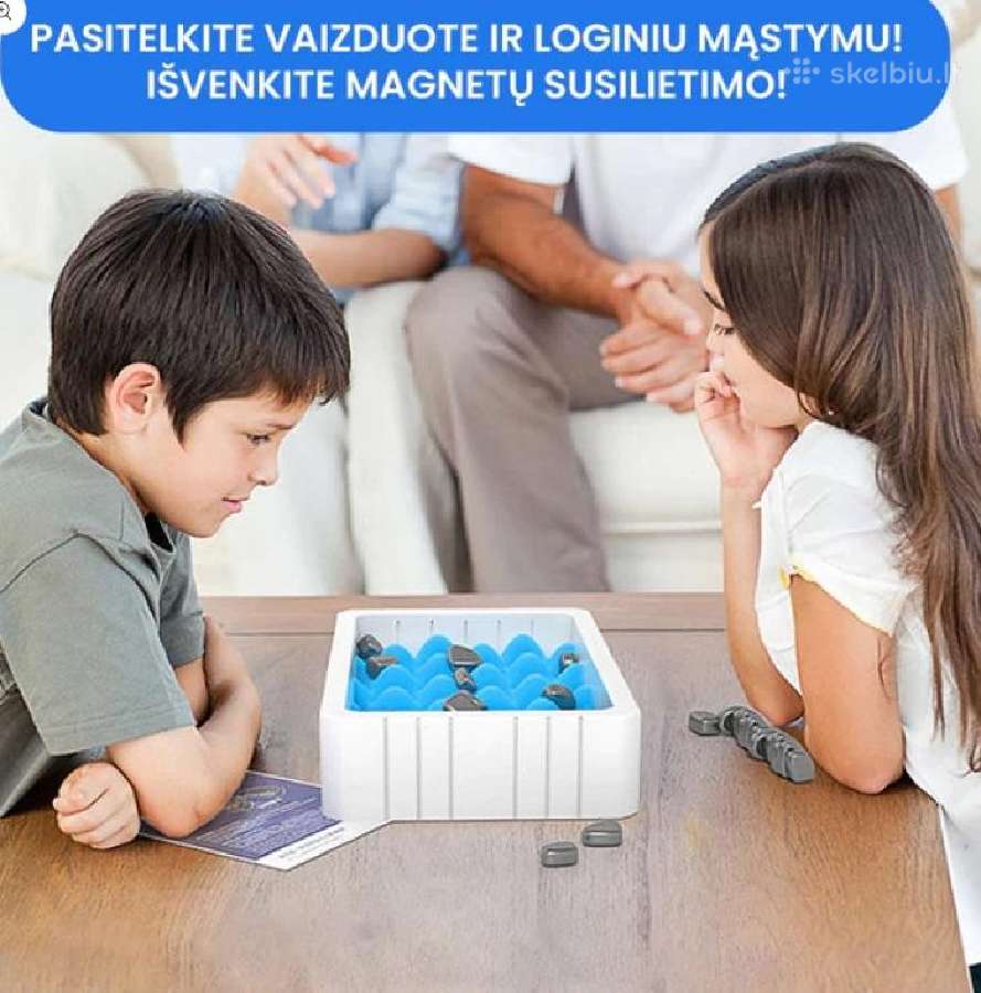 Magnetų dėliojimo žaidimas - nuotraukos Nr. 4