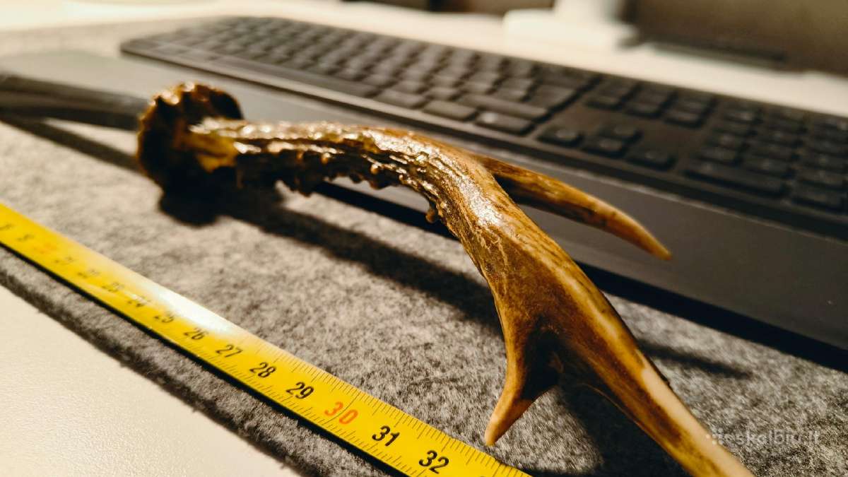 Rankų darbo peilis su rankena iš elnio rago