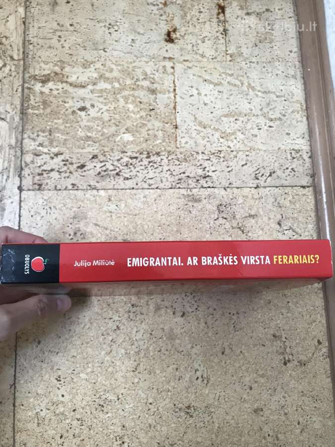 J.miliutės Knyga - “Ar braškės virsta ferariais? - nuotraukos Nr. 3
