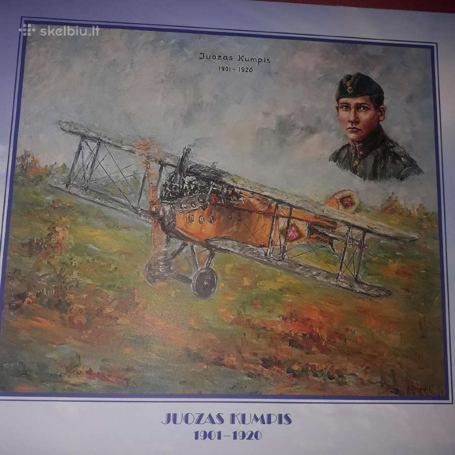 Parduodu atviruku rinkiniuis Lietuvos aviacija 100 - nuotraukos Nr. 8