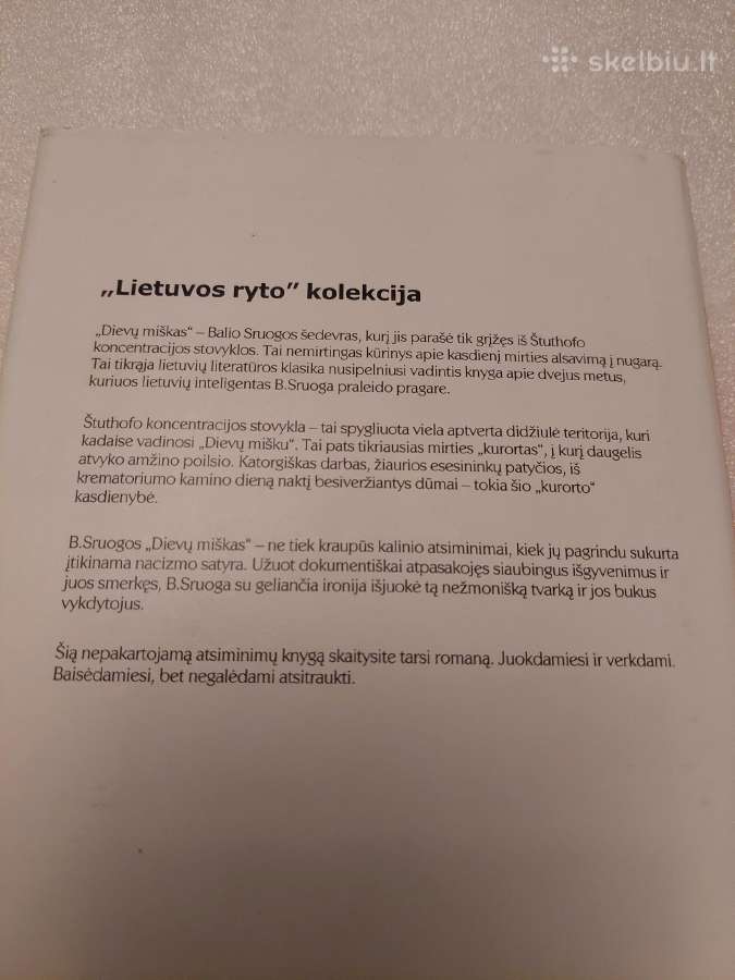 Dievų miškas - nuotraukos Nr. 3