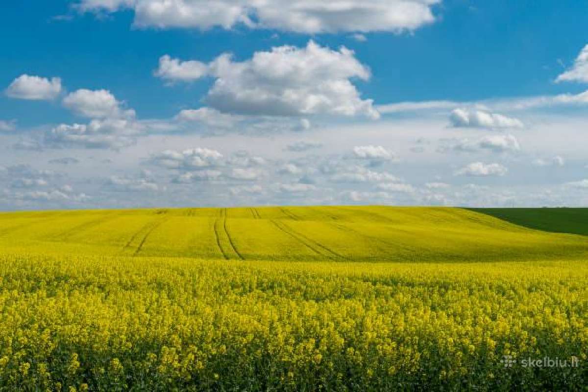 Brangiai išsinuomotų žemės - nuotraukos Nr. 3
