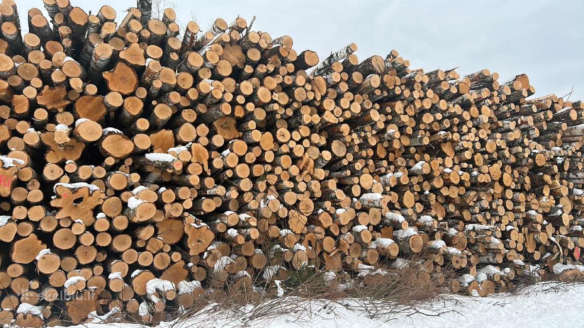 Malkos , bei pjauname ir skaldome - nuotraukos Nr. 12