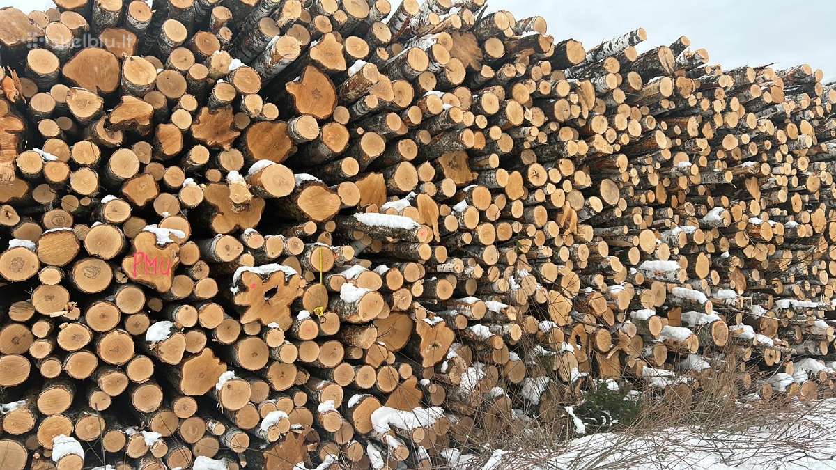 Malkos , bei pjauname ir skaldome - nuotraukos Nr. 10