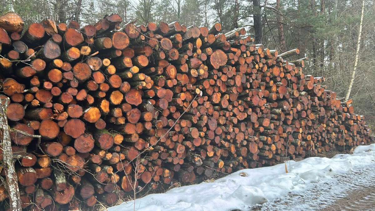 Malkos , bei pjauname ir skaldome - nuotraukos Nr. 15
