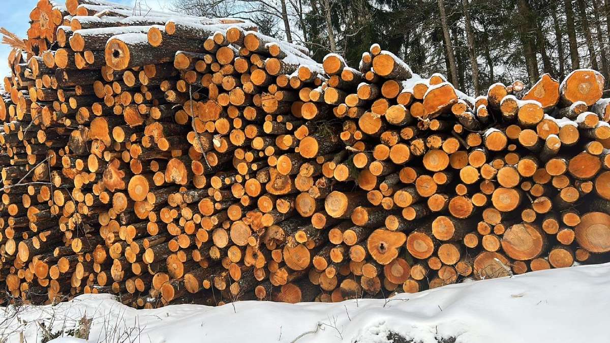 Malkos , bei pjauname ir skaldome - nuotraukos Nr. 5