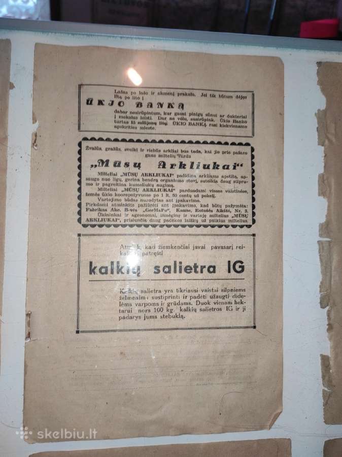 Reklamos iš tarpukario laikraščių remelyje
