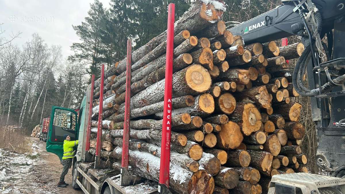 Malkos , bei pjauname ir skaldome - nuotraukos Nr. 17