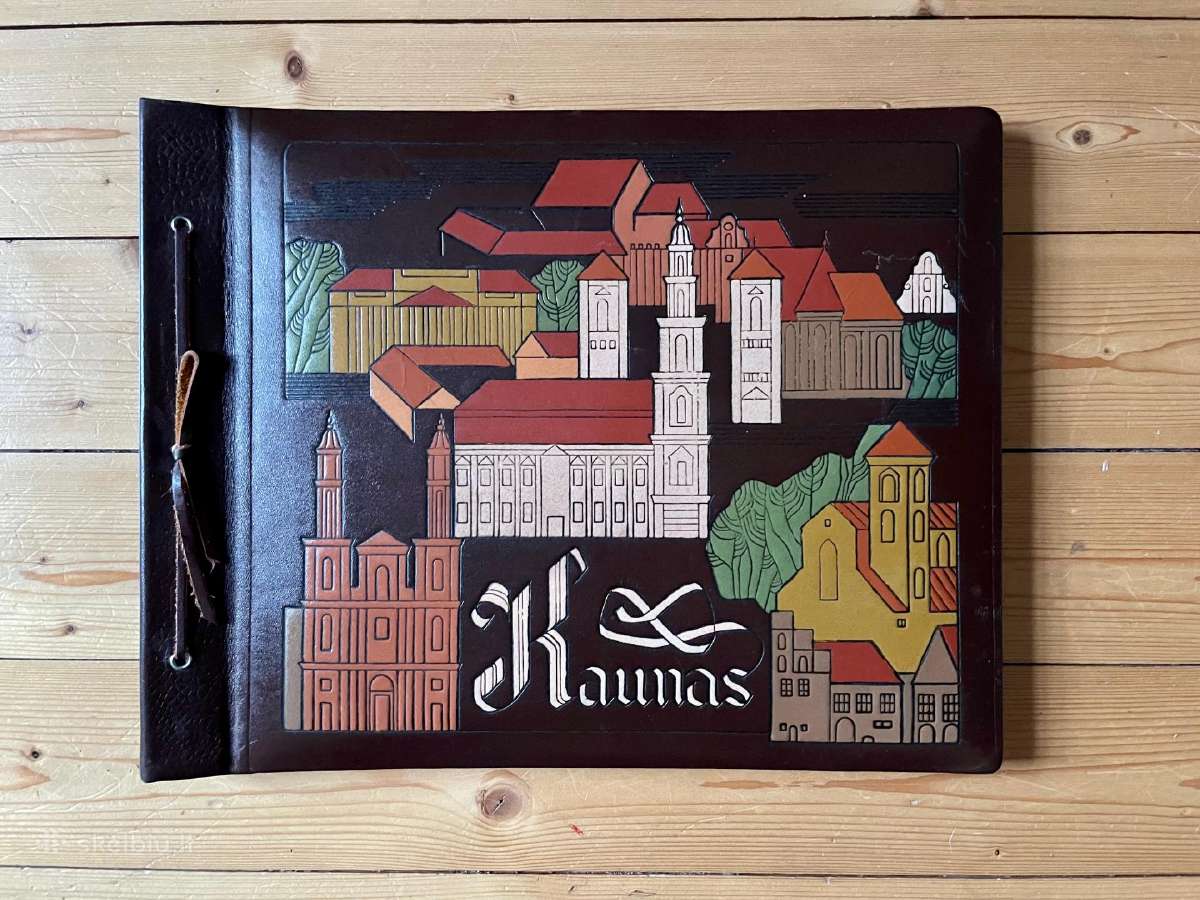 Senas didelis odinis albumas