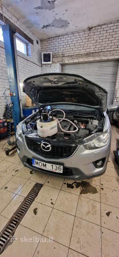 Automobilio pečiuko plovimas, keitimas - nuotraukos Nr. 7