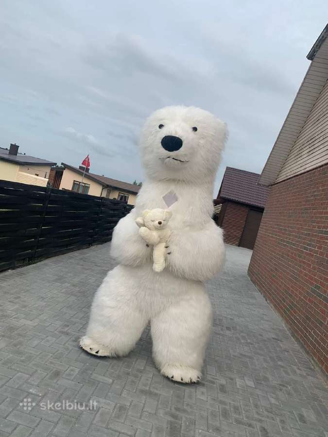 Pripučiami meškinai