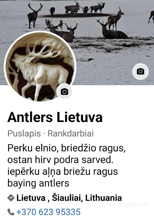 Perku elnio ragus