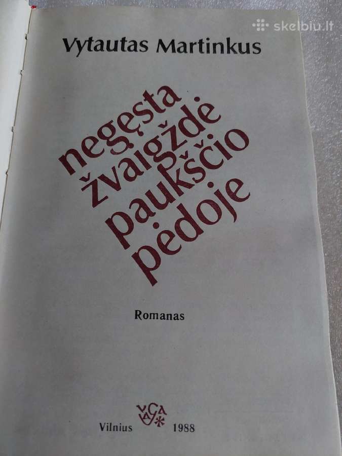 Negęsta žvaigždė paukščio pėdoje - nuotraukos Nr. 2