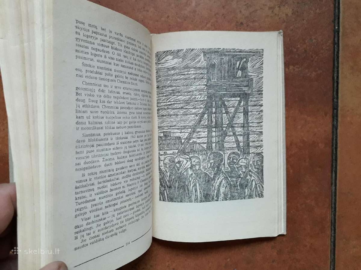 Balys Sruoga "Dievų miškas" - nuotraukos Nr. 5