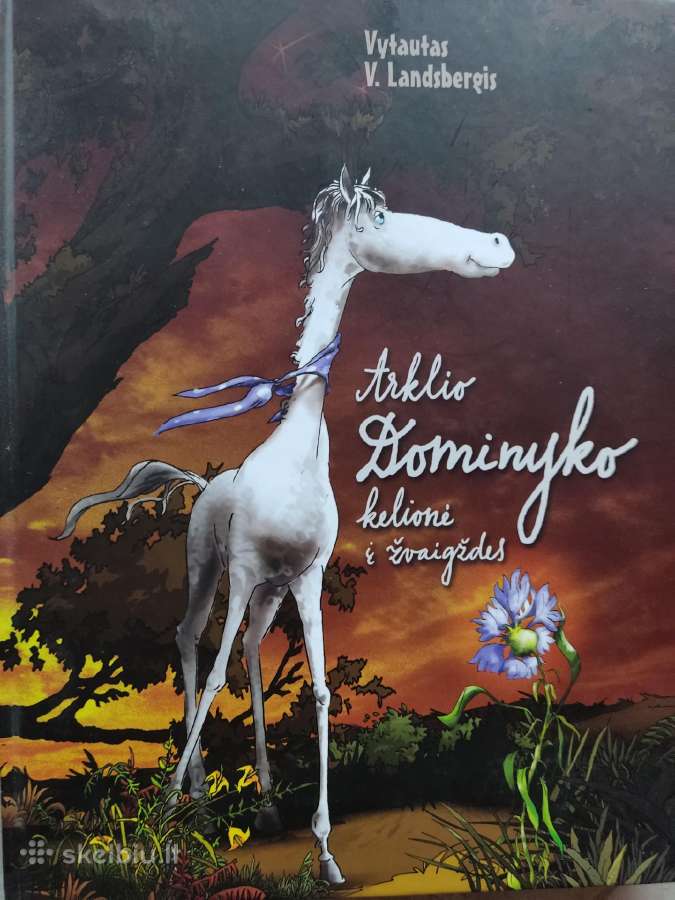 Arklio Dominyko kelionė į žvaidždes
