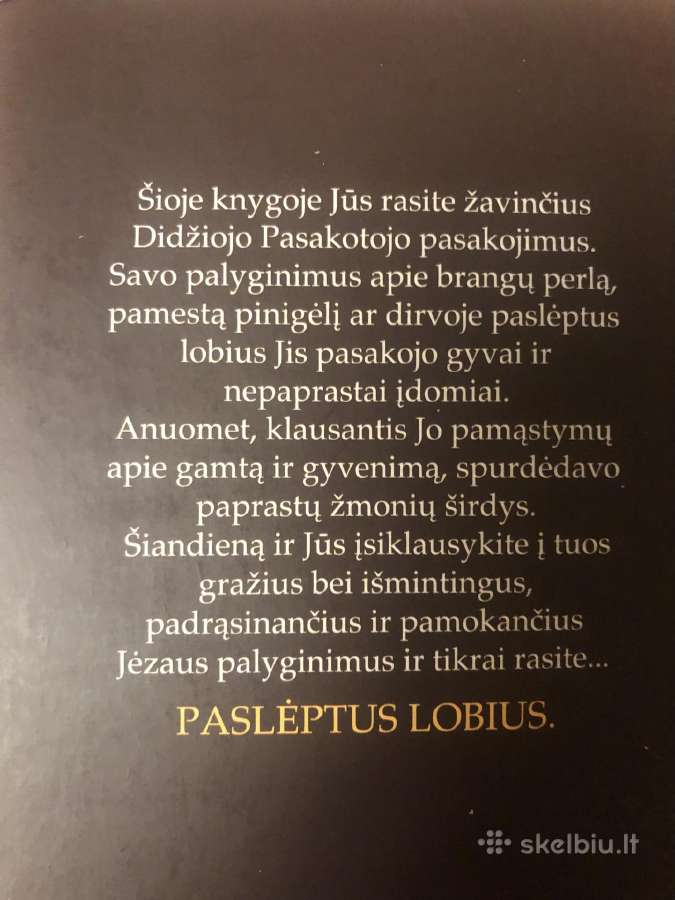 Knyga paslėpti lobiai - nuotraukos Nr. 6