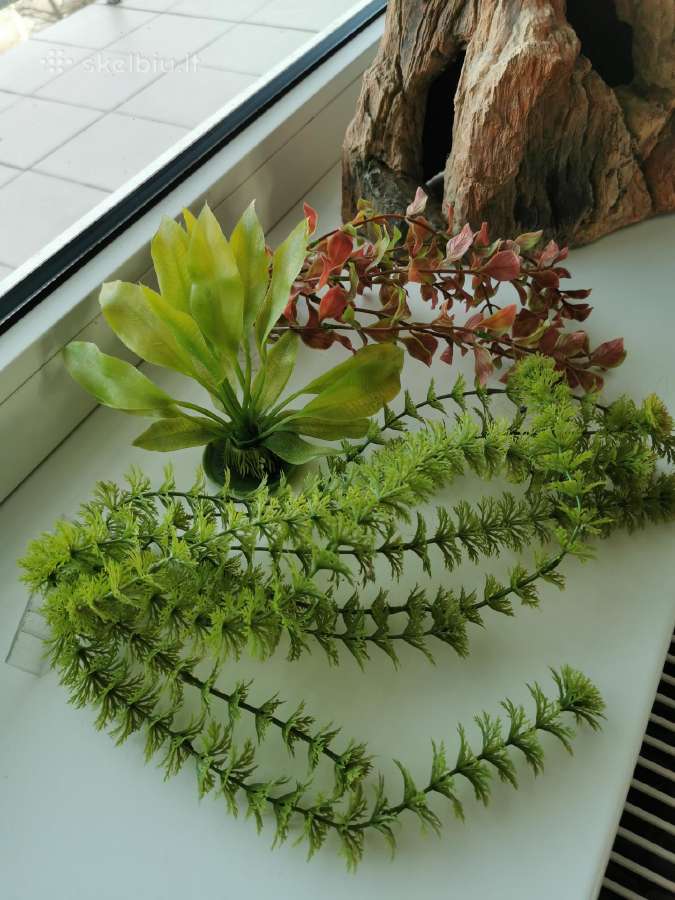 Akvariumo filtras, dirbtiniai augalai - nuotraukos Nr. 2