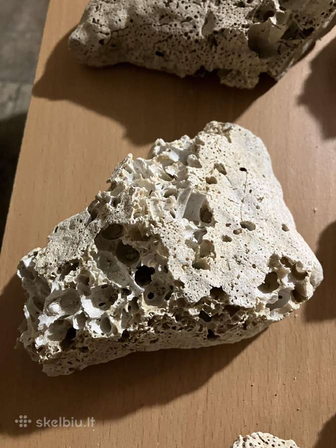 Alvariumo akmenys - nuotraukos Nr. 3