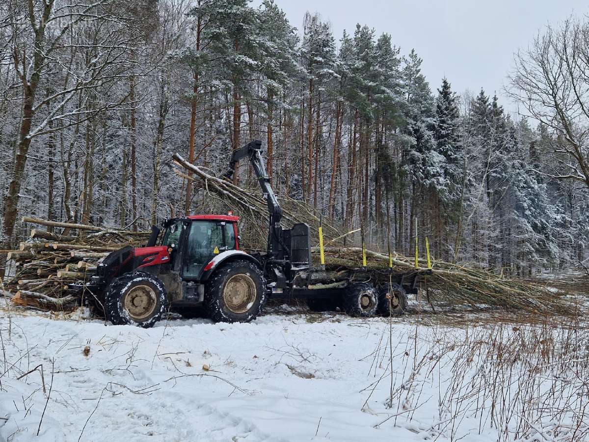 Medžių ir krūmų iškirtimas - apleisto sklypo valym - nuotraukos Nr. 2