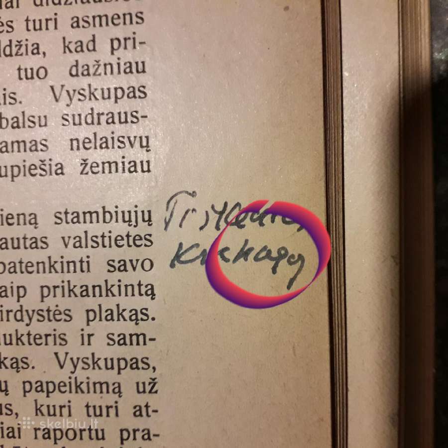 Knyga iš prof. Vaclovo Biržiškos bibliotekos - nuotraukos Nr. 11