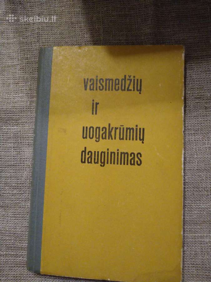 Senos knygos, yra rusu ir anglų kalbomis - nuotraukos Nr. 13