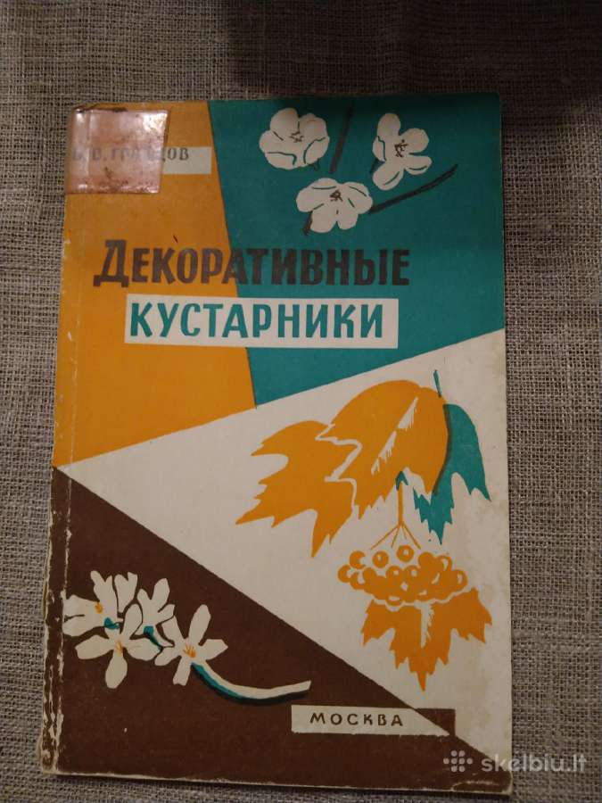 Senos knygos, yra rusu ir anglų kalbomis - nuotraukos Nr. 17