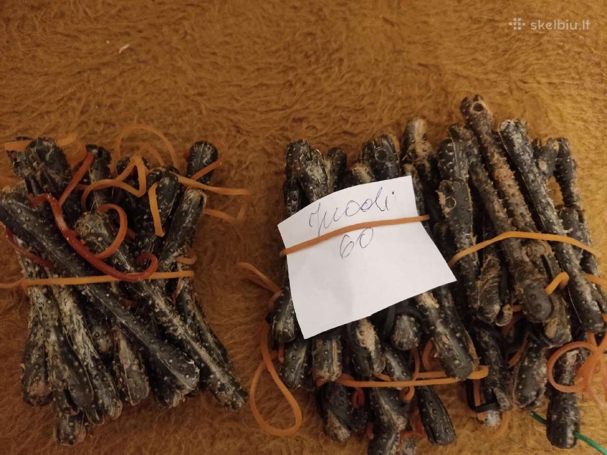 Cheminio suktukai yvairiu dydziu Ir Ne Tik, - nuotraukos Nr. 3