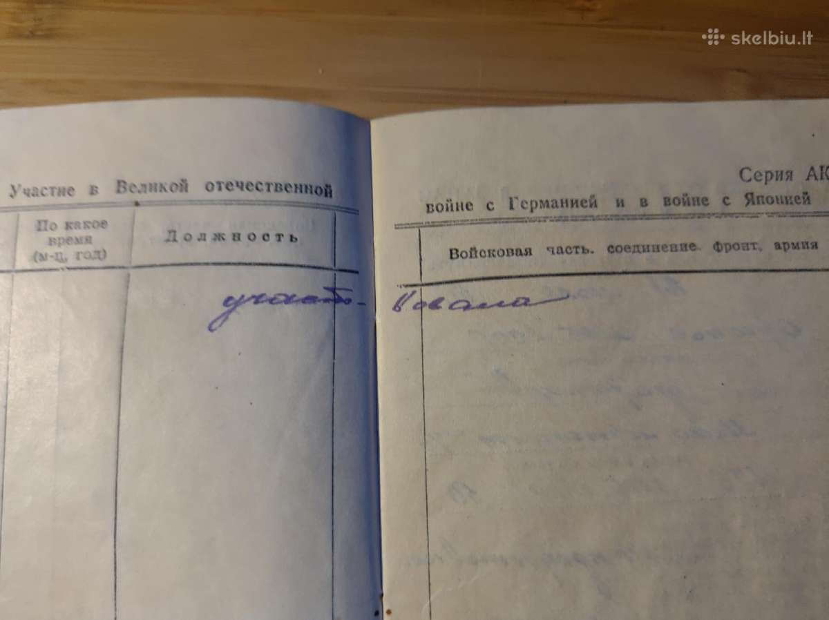 Medicinos sesers lotas didysis tėvynės karas - nuotraukos Nr. 9