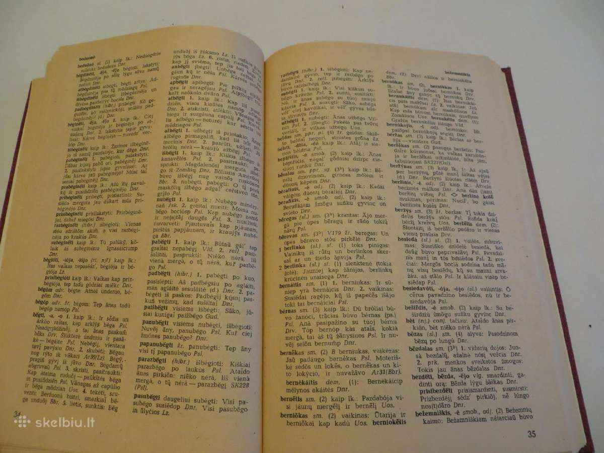 Knyga Lazūnų tarmės žodynas 1985 - nuotraukos Nr. 6