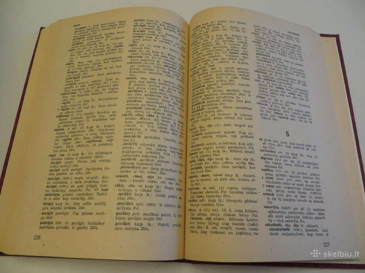 Knyga Lazūnų tarmės žodynas 1985 - nuotraukos Nr. 10