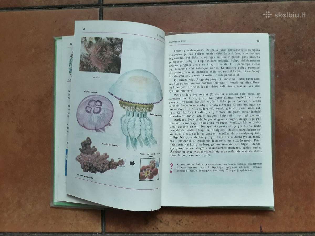 Zoologija 7-8 klasei 1987 metai - nuotraukos Nr. 3