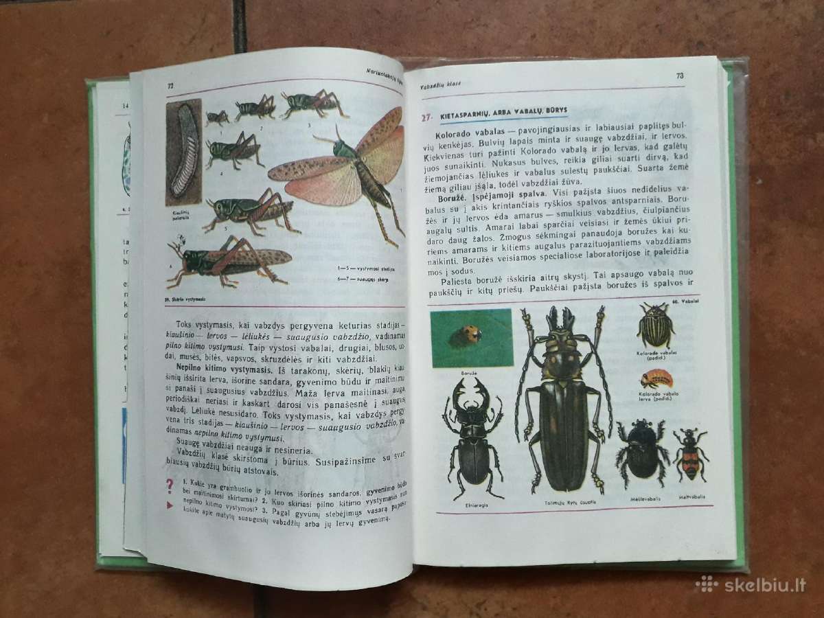 Zoologija 7-8 klasei 1987 metai - nuotraukos Nr. 4