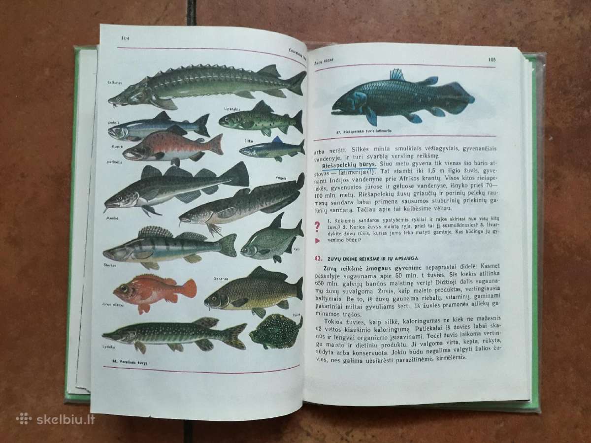 Zoologija 7-8 klasei 1987 metai - nuotraukos Nr. 5