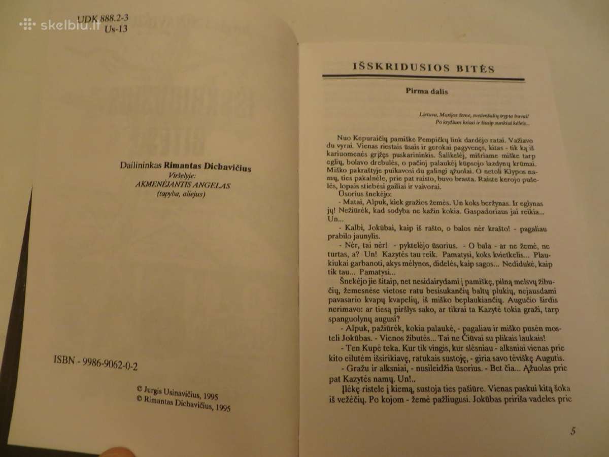 Knyga Išskridusios bitės Jurgis Usinavičius 1995 - nuotraukos Nr. 5