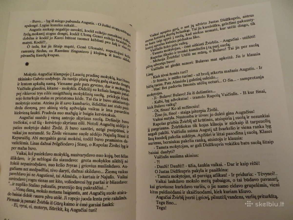 Knyga Išskridusios bitės Jurgis Usinavičius 1995 - nuotraukos Nr. 6